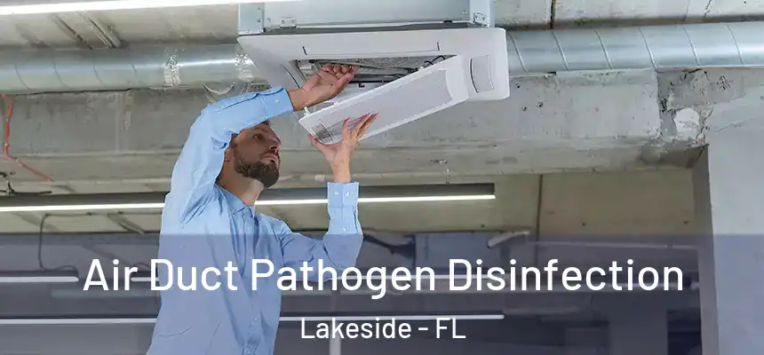  Air Duct Pathogen Disinfection Lakeside - FL