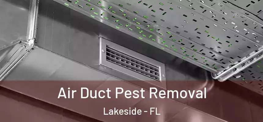 Air Duct Pest Removal Lakeside - FL