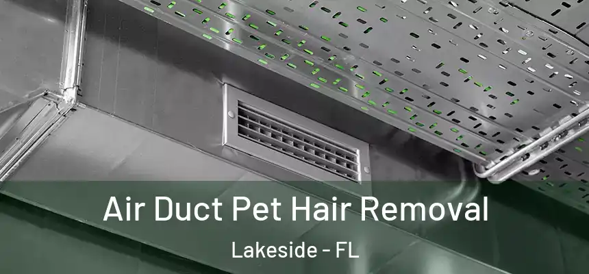 Air Duct Pet Hair Removal Lakeside - FL