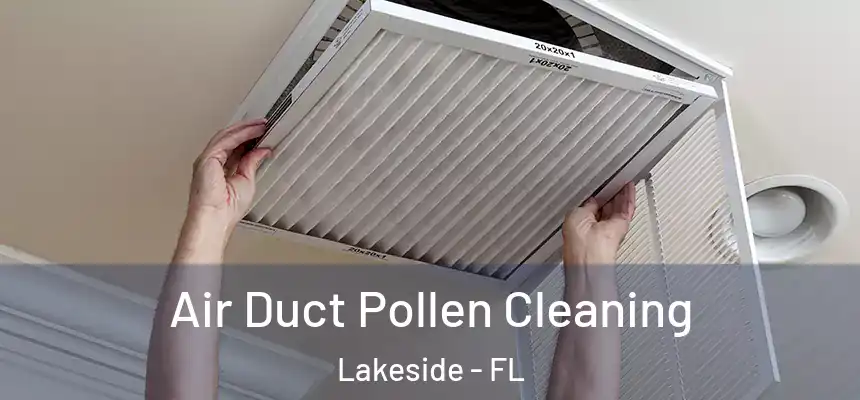 Air Duct Pollen Cleaning Lakeside - FL