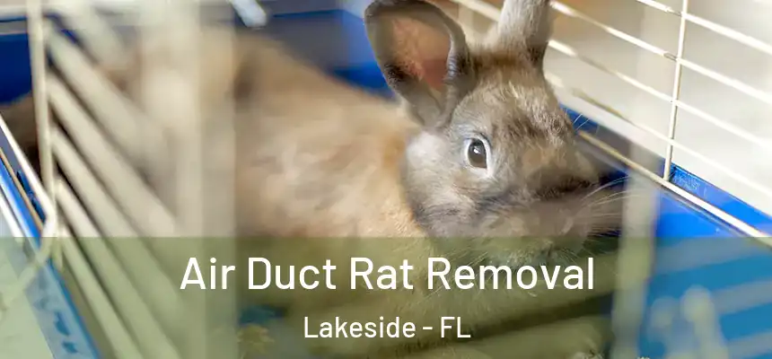 Air Duct Rat Removal Lakeside - FL