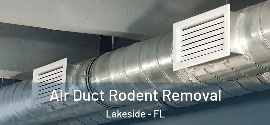 Air Duct Rodent Removal Lakeside - FL