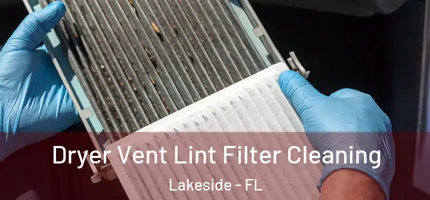 Dryer Vent Lint Filter Cleaning Lakeside - FL