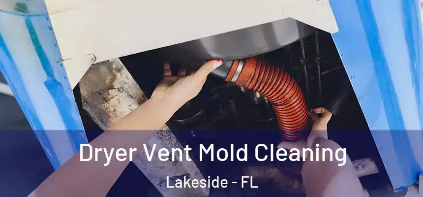 Dryer Vent Mold Cleaning Lakeside - FL