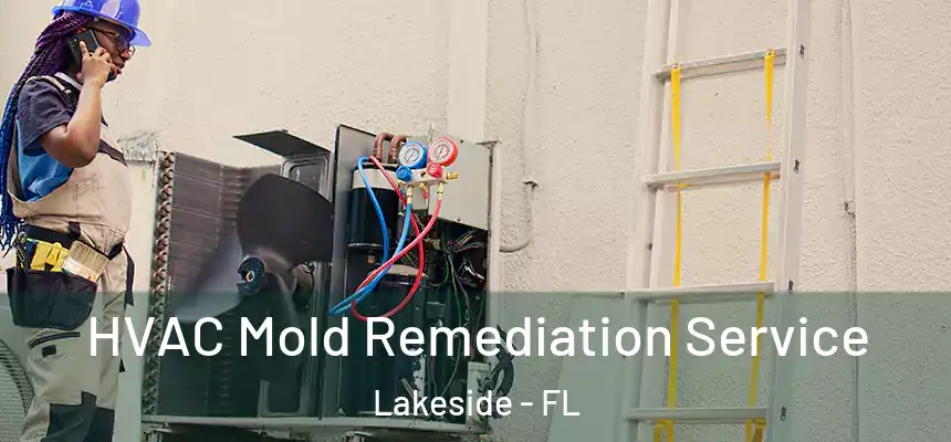 HVAC Mold Remediation Service Lakeside - FL