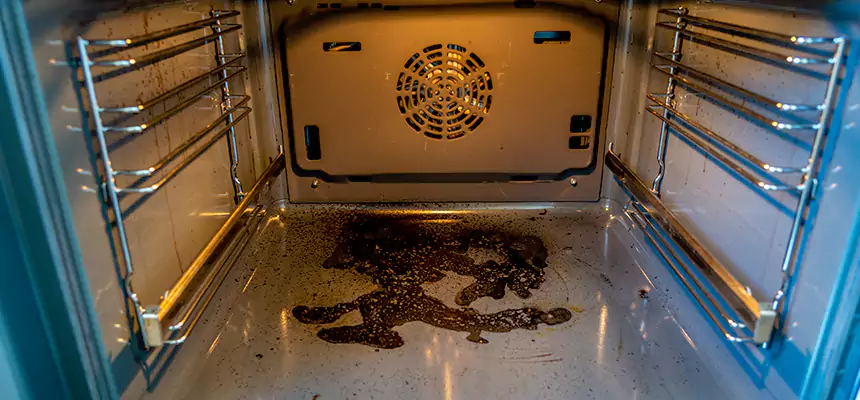 Our Dryer Vent Mold Cleaning Services in Lakeside, FL