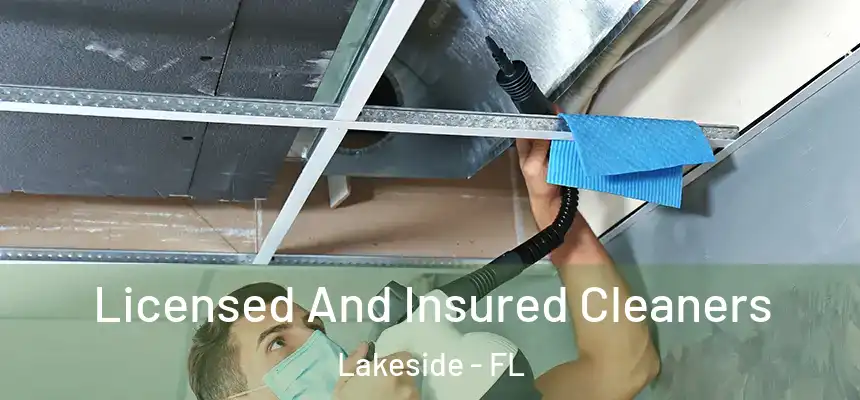 Licensed And Insured Cleaners Lakeside - FL