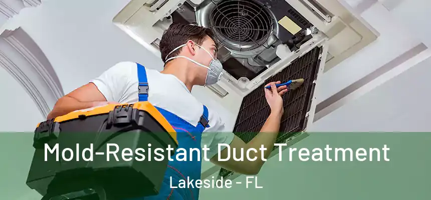Mold-Resistant Duct Treatment Lakeside - FL