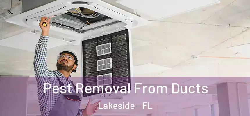 Pest Removal From Ducts Lakeside - FL