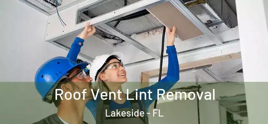 Roof Vent Lint Removal Lakeside - FL