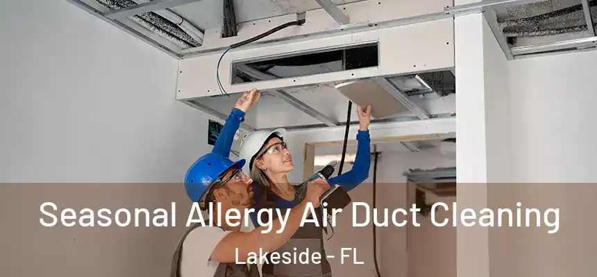 Seasonal Allergy Air Duct Cleaning Lakeside - FL