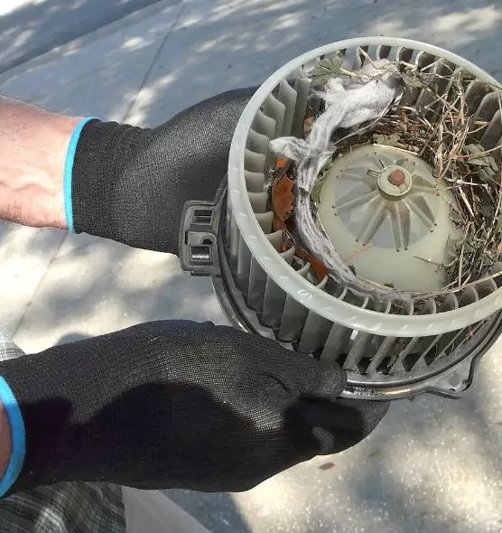 About Air Duct Mice Removal in Lakeside, FL