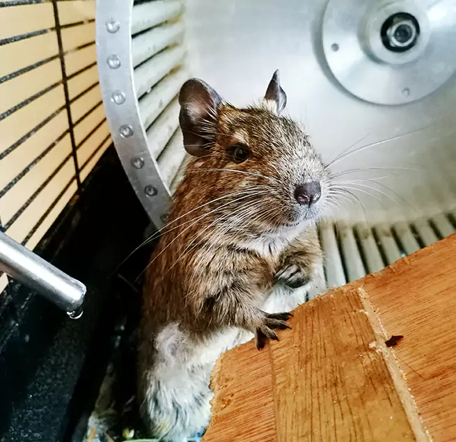 Why Homeowners & Businesses Trust Us Lakeside, FL