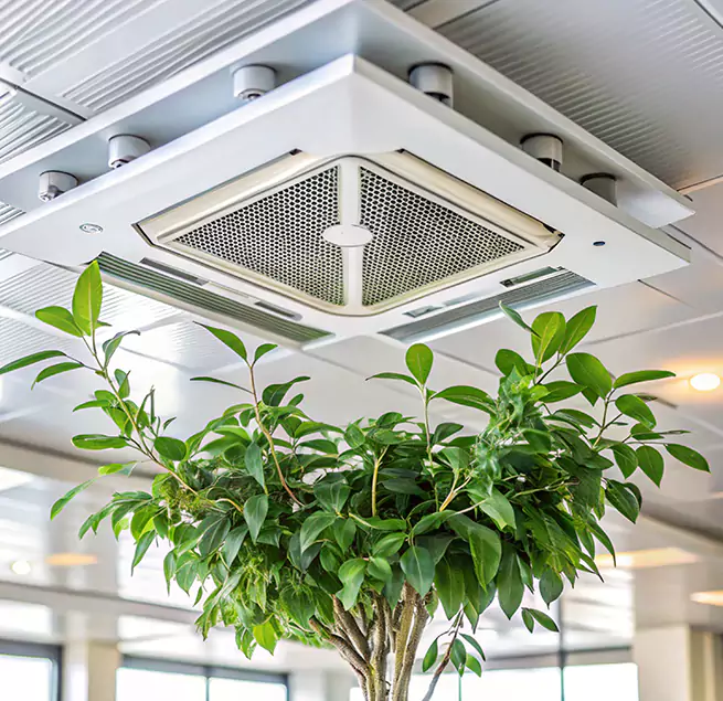 Why Homeowners & Businesses Trust Us in Lakeside, FL?