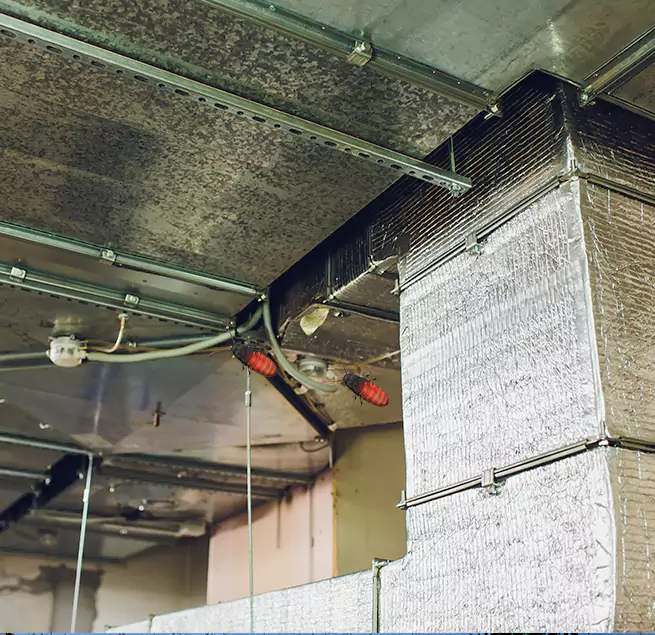 Why Homeowners & Businesses Trust Us Lakeside, FL?