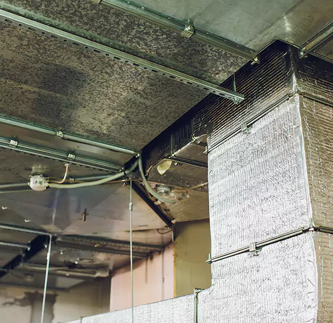 Why Homeowners & Businesses Trust Us in Lakeside, FL?